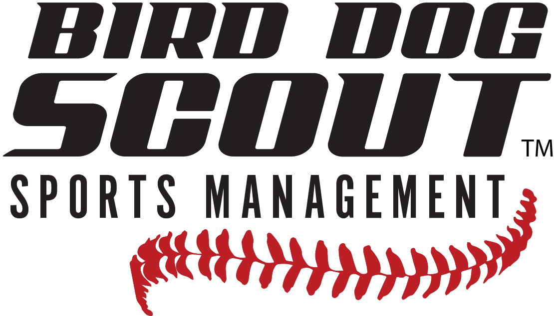 Bird Dog Scout